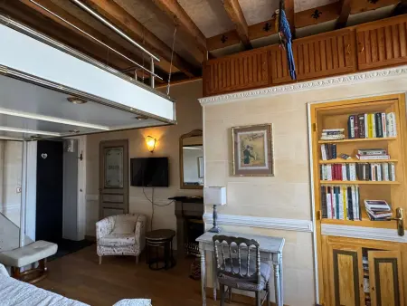 Studio atypique 29m² vue montagne, animaux acceptés : photo 8