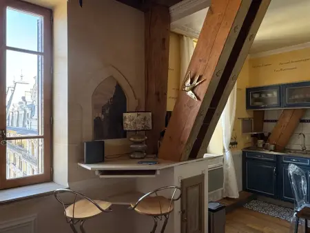 Studio atypique 29m² vue montagne, animaux acceptés : photo 10