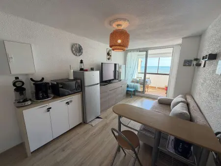 Appartement 2 pièces vue mer, 50m plage, animaux : photo 2