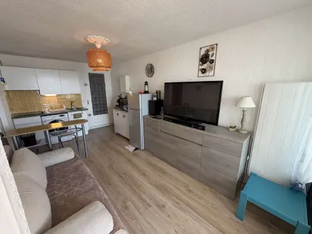 Appartement 2 pièces vue mer, 50m plage, animaux : photo 4