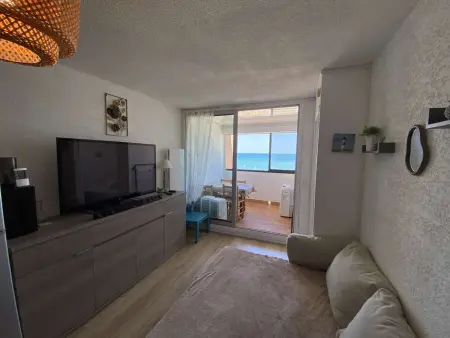 Appartement 2 pièces vue mer, 50m plage, animaux : photo 10