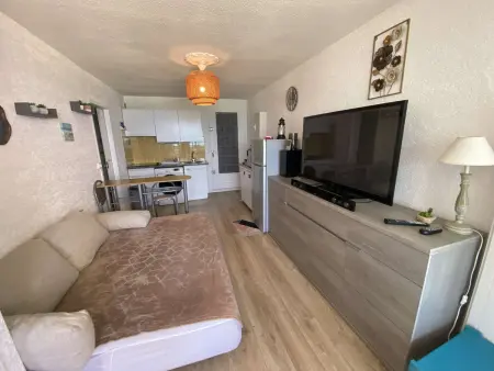 Appartement 2 pièces vue mer, 50m plage, animaux : photo 11