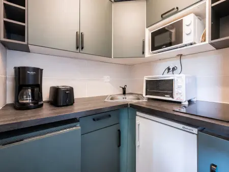 Studio 28m² vue pistes, animaux admis - Le Corbier : photo 7