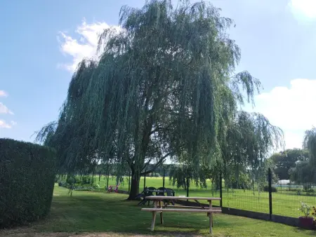Gîte de plain-pied 80m² avec jardin clos à Coutiches : photo 30