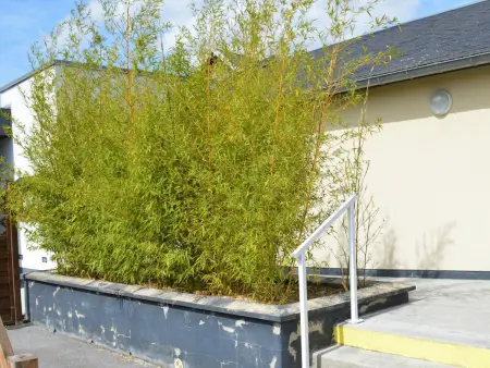 Gîte 7 pers. au cœur d'Alaincourt avec terrasse : photo 12