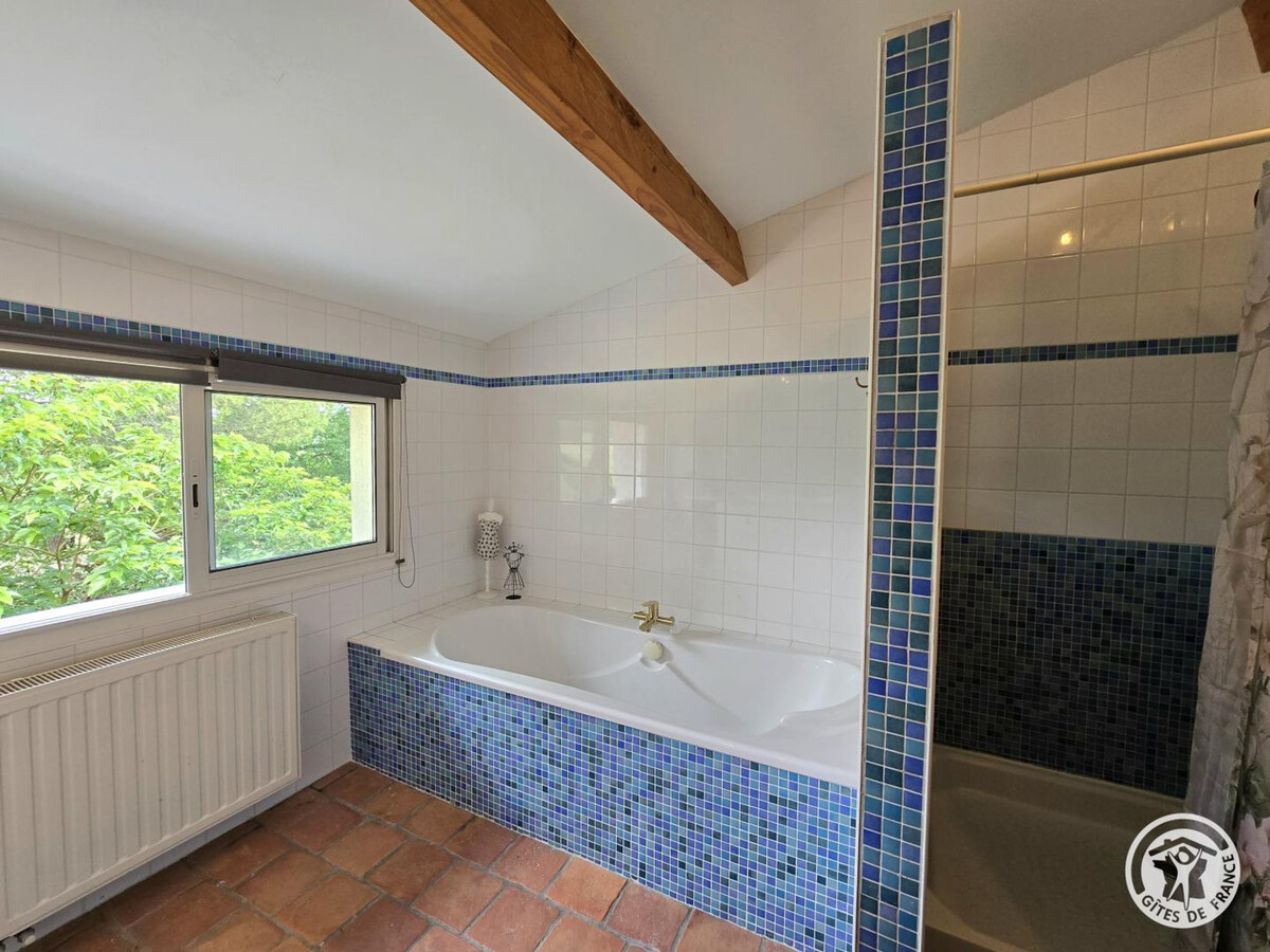 Gîte 12 pers. piscine couverte toute l'année à Monsaguel - Photo 26