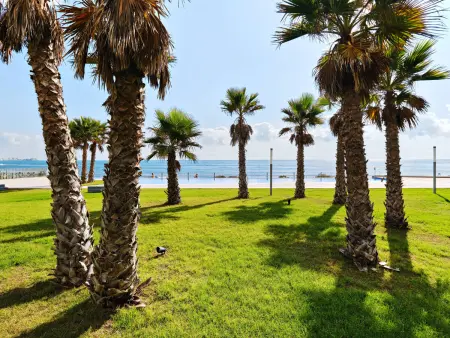 Appartement vue mer 100 m² - 6 pers., Torrevieja : photo 35