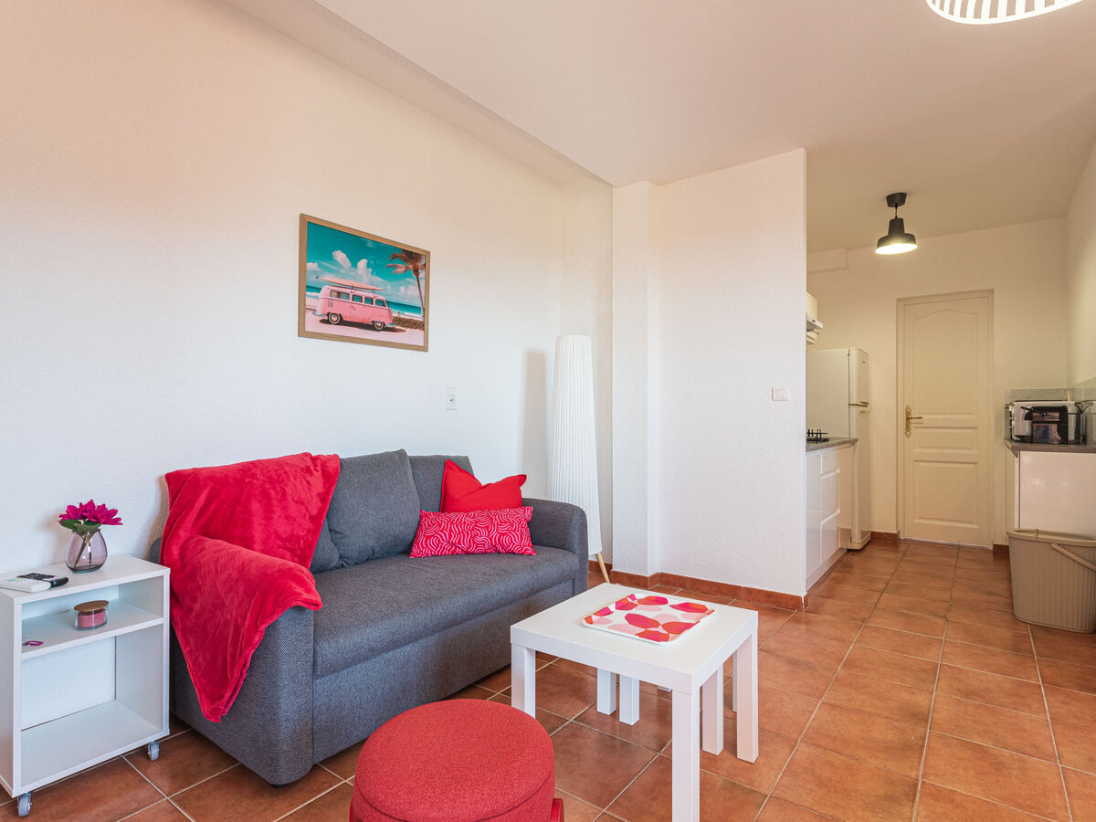 Apt 2 pièces avec terrasse et piscine à La Londe - Photo 13