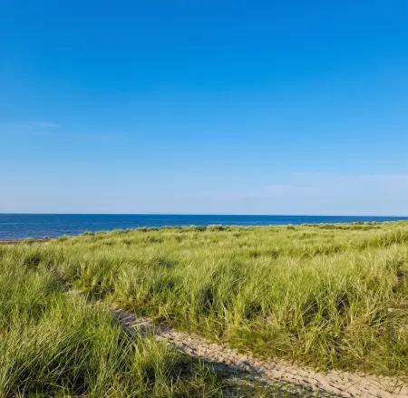 Bungalow avec jardin clôturé à Bredene, proche de la plage : photo 19
