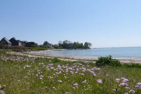 Maison 6 pers. à 100 m de plage, Saint-Marcouf : photo 25