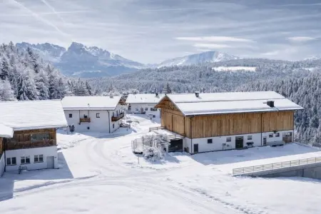 Appartement 46 m² vue Weisshorn à Deutschnofen : photo 2