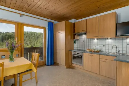 Appartement 46 m² vue Weisshorn à Deutschnofen : photo 7
