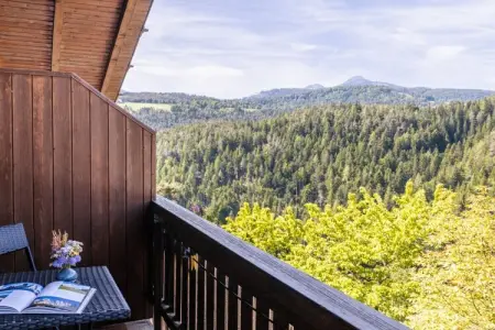 Appartement 46 m² vue Weisshorn à Deutschnofen : photo 14