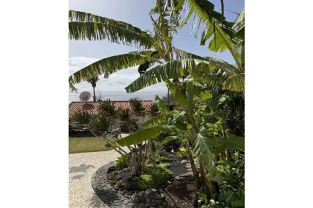 Maison 1 chambre Caniço de Baixo, vue mer et îles : photo 3
