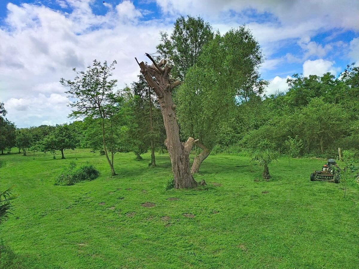 Maison de ferme à Lestre, jardin clos à 1,5 km de la mer - Photo 17
