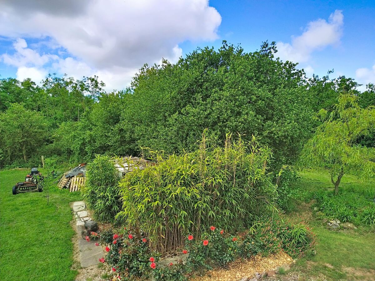 Maison de ferme à Lestre, jardin clos à 1,5 km de la mer - Photo 18