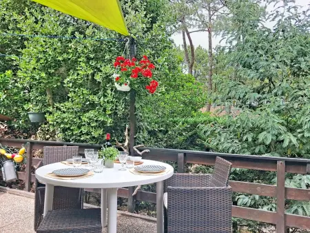 Les Pins – Maison 35 m² à Lacanau, terrasse et jardin : photo 2