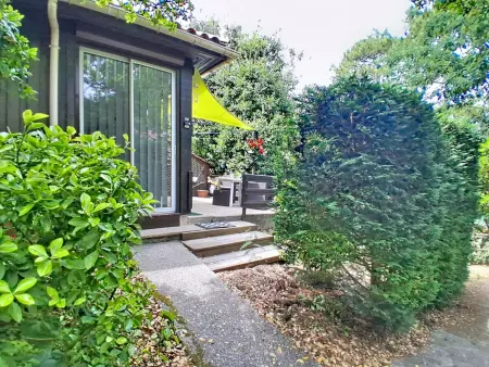 Les Pins – Maison 35 m² à Lacanau, terrasse et jardin : photo 26