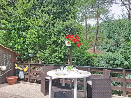 Les Pins – Maison 35 m² à Lacanau, terrasse et jardin : photo 29