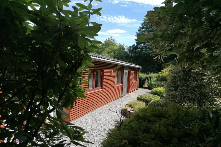 Les Rainettes – Maison 6 pers. avec jacuzzi à Grand-Halleux - Photo 1