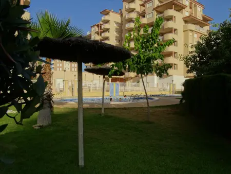 Appartement 40 m² avec jardin près de la plage - San Javier : photo 13