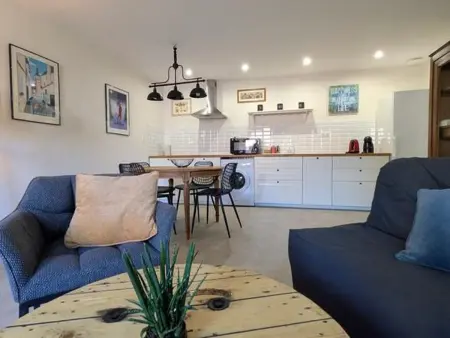 Studio La Petite Grange avec mezzanine à Bourbon-l'Archambault : photo 6