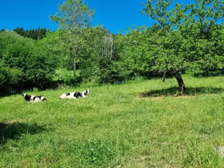 Gîte 6 pers. rénové avec jardin privé à Gumières : photo 20