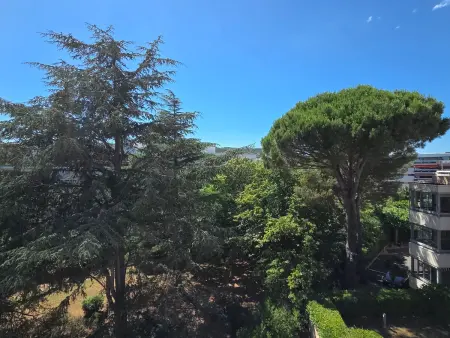 Appartement 2 pièces avec terrasse 20 m² - Sainte-Maxime : photo 3