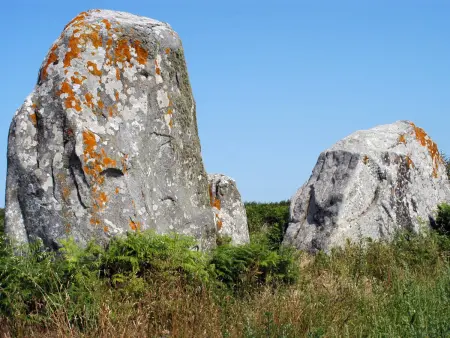 Appart 3 pièces terrasse Sud à Carnac : photo 14