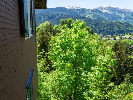 Churfirstenblick, Maison 5 personnes à Wildhaus - Photo 4