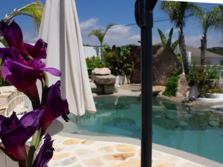 Bungalow avec piscine, clim et animaux OK - 7 pers. - Photo 6