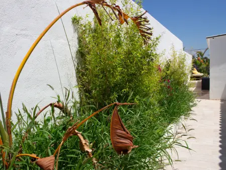 Bungalow avec piscine, clim et animaux OK - 7 pers. - Photo 32