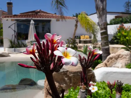 Bungalow avec piscine, clim et animaux OK - 7 pers. - Photo 34