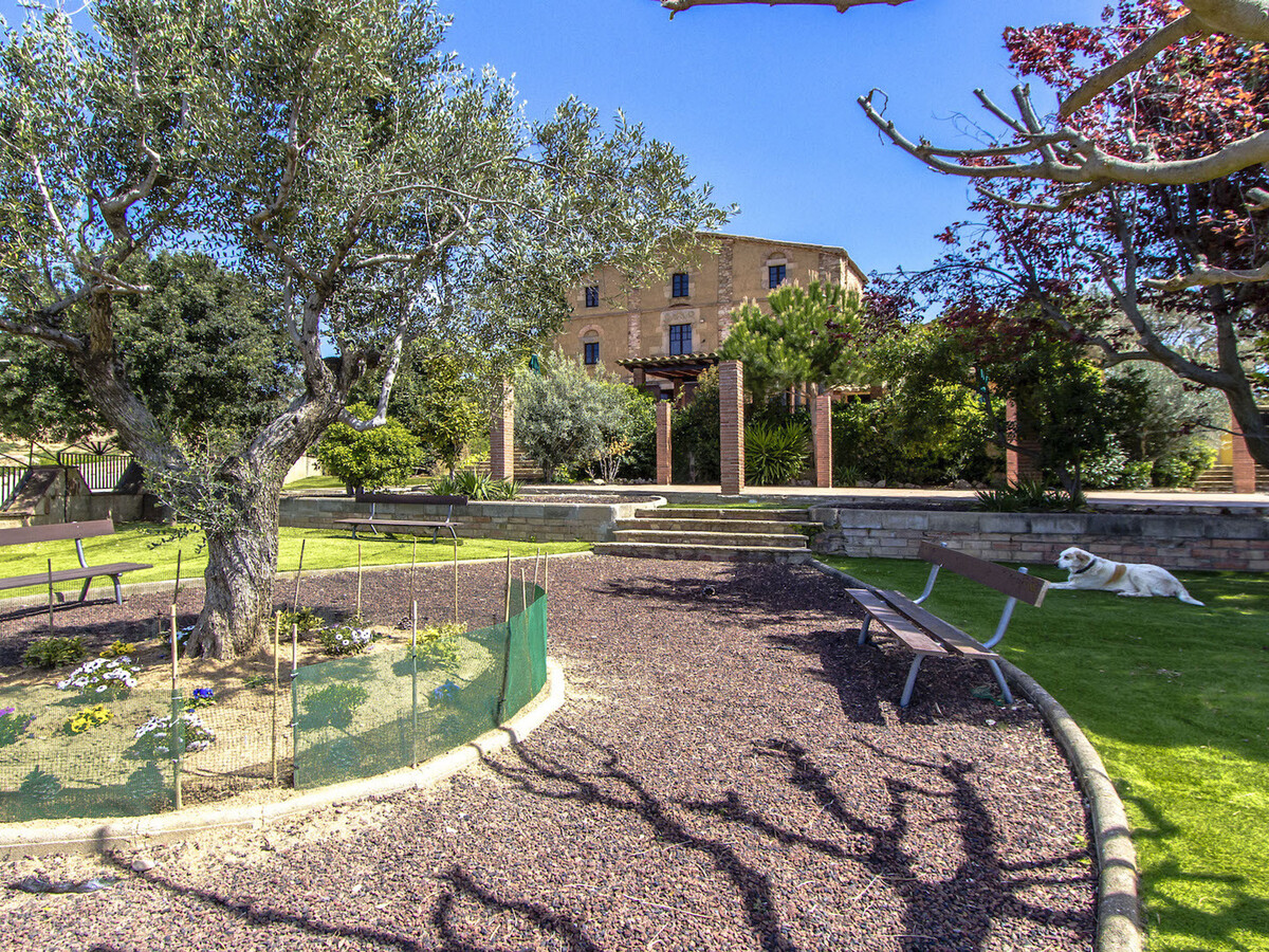 Villa Rafel : 12 chambres, piscine et parc pour 25 pers. - Photo 6