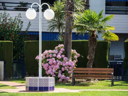 Appartement 2 chambres avec terrasse et piscine : photo 9