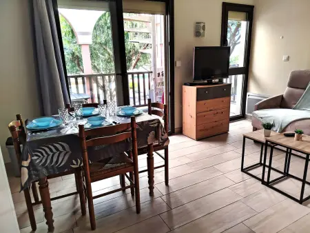 T2 climatisé avec rooftop privatif à Saint-Cyprien : photo 2