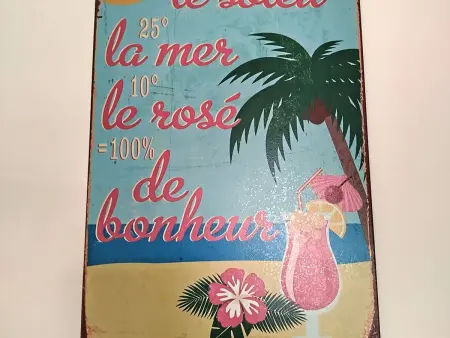 T2 climatisé avec rooftop privatif à Saint-Cyprien : photo 6