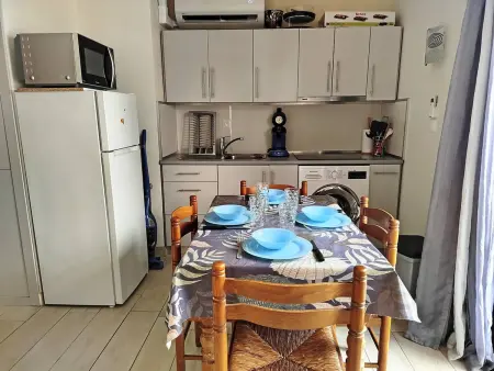 T2 climatisé avec rooftop privatif à Saint-Cyprien : photo 10