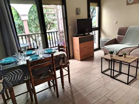 T2 climatisé avec rooftop privatif à Saint-Cyprien : photo 12