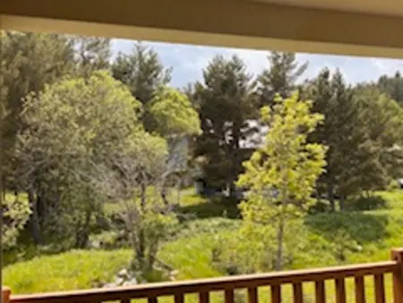 Appartement 6 pers. avec terrasse forêt à Formiguères : photo 17