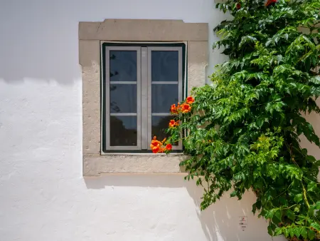 Casa Buganvilea - Gîte 1 chambre avec piscine à Tavira : photo 30