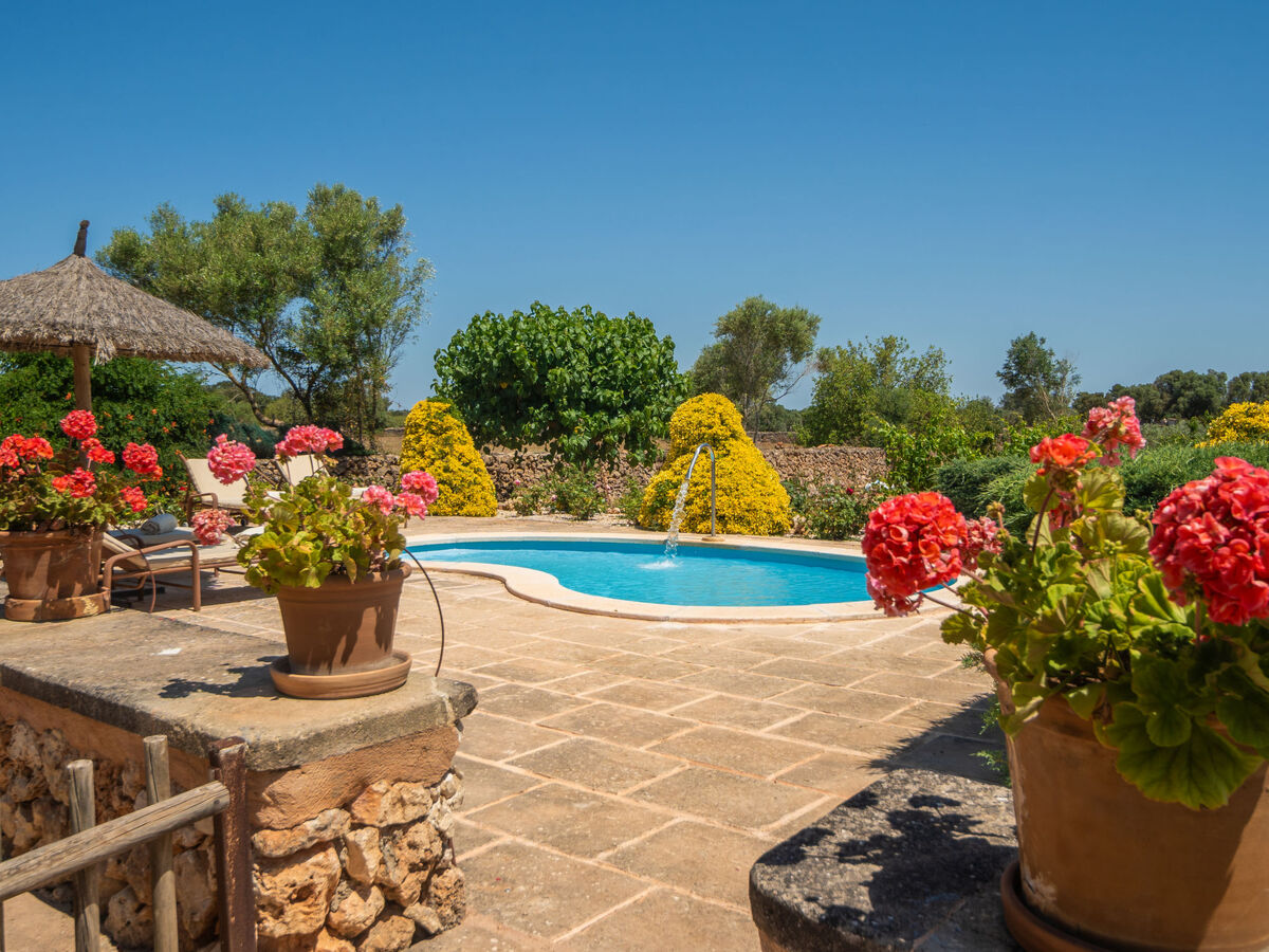 Son Julia de sa Torre – Maison 6 pers. avec piscine - Photo 22