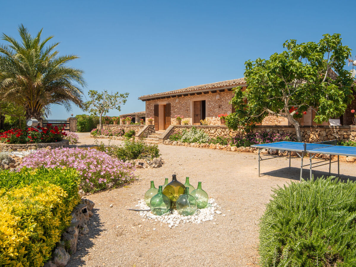 Son Julia de sa Torre – Maison 6 pers. avec piscine - Photo 30