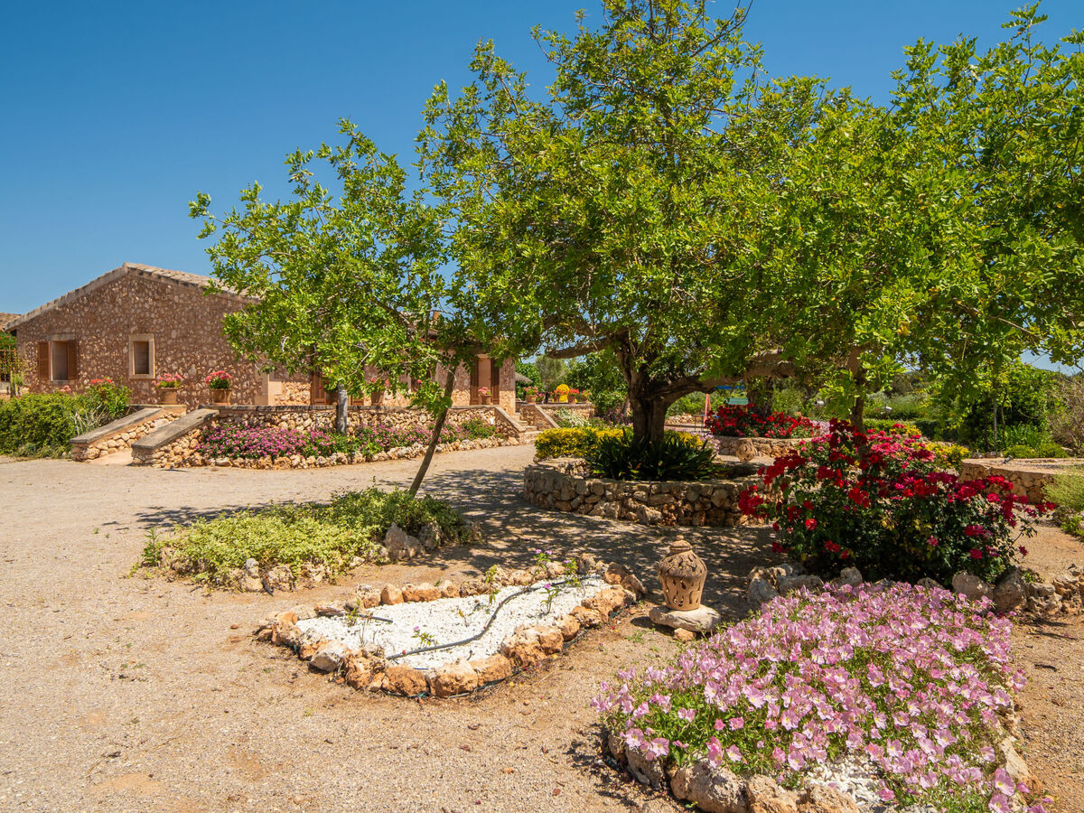 Son Julia de sa Torre – Maison 6 pers. avec piscine - Photo 31