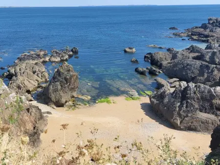 La Sardinerie de la Crique de Porsac'h, Le Pouldu : photo 42