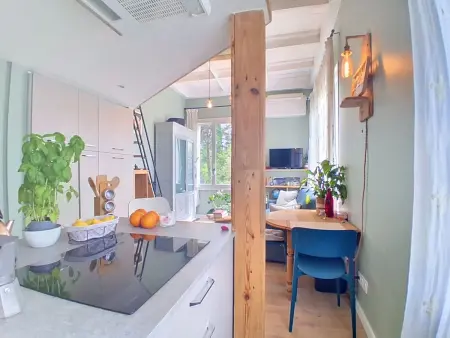 Studio Le Moulin du Loup avec mezzanine à Villeneuve-Loubet : photo 6