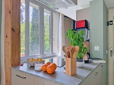 Studio Le Moulin du Loup avec mezzanine à Villeneuve-Loubet : photo 18