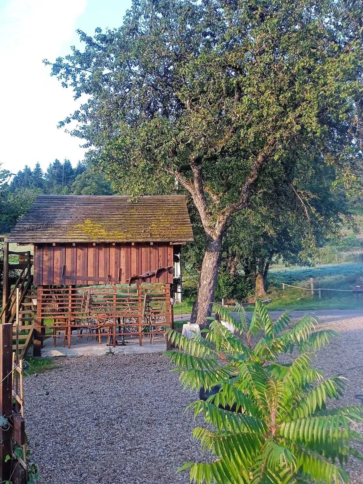 Maison 14 pers. à Cussy-en-Morvan, vue montagne et cabane - Photo 26