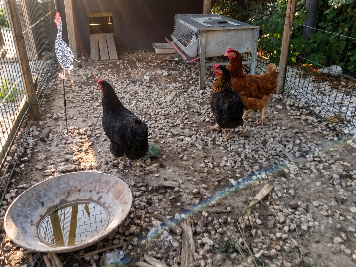 Studio 40 m² avec piscine et jardin à Cabrières-d'Avignon - Photo 25