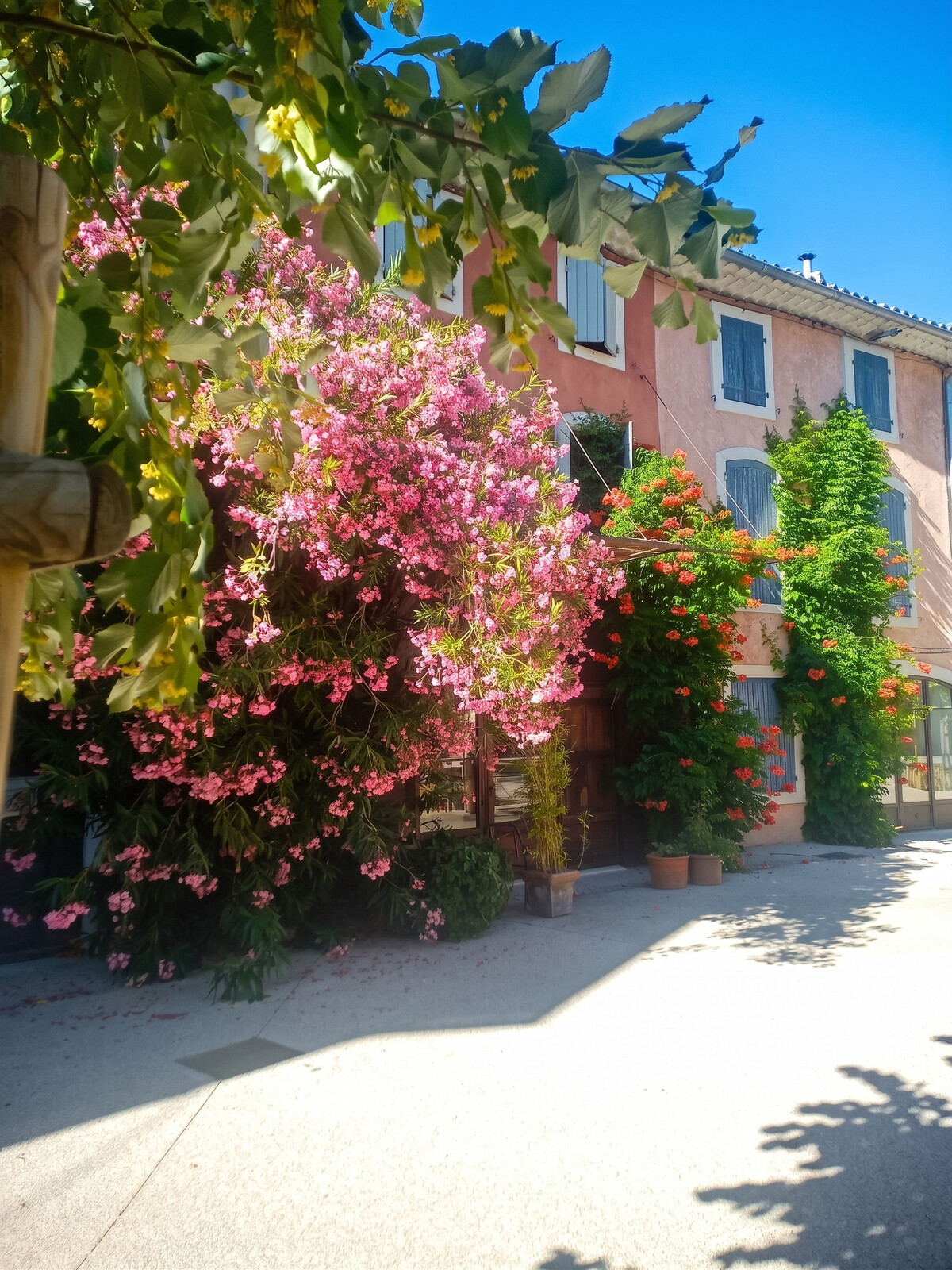 Studio 40 m² avec piscine et jardin à Cabrières-d'Avignon - Photo 35